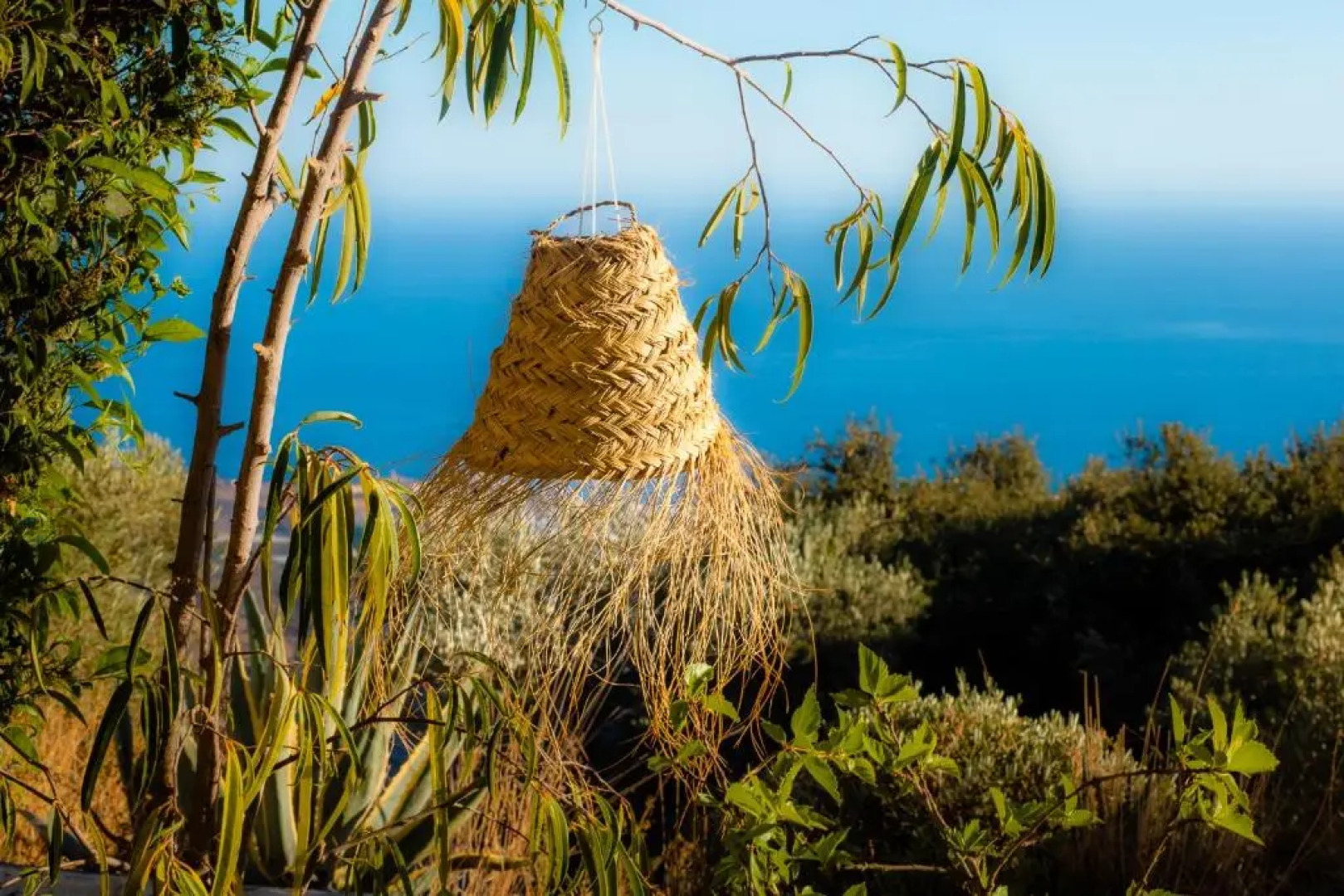 Campo Agave Luxury Tents