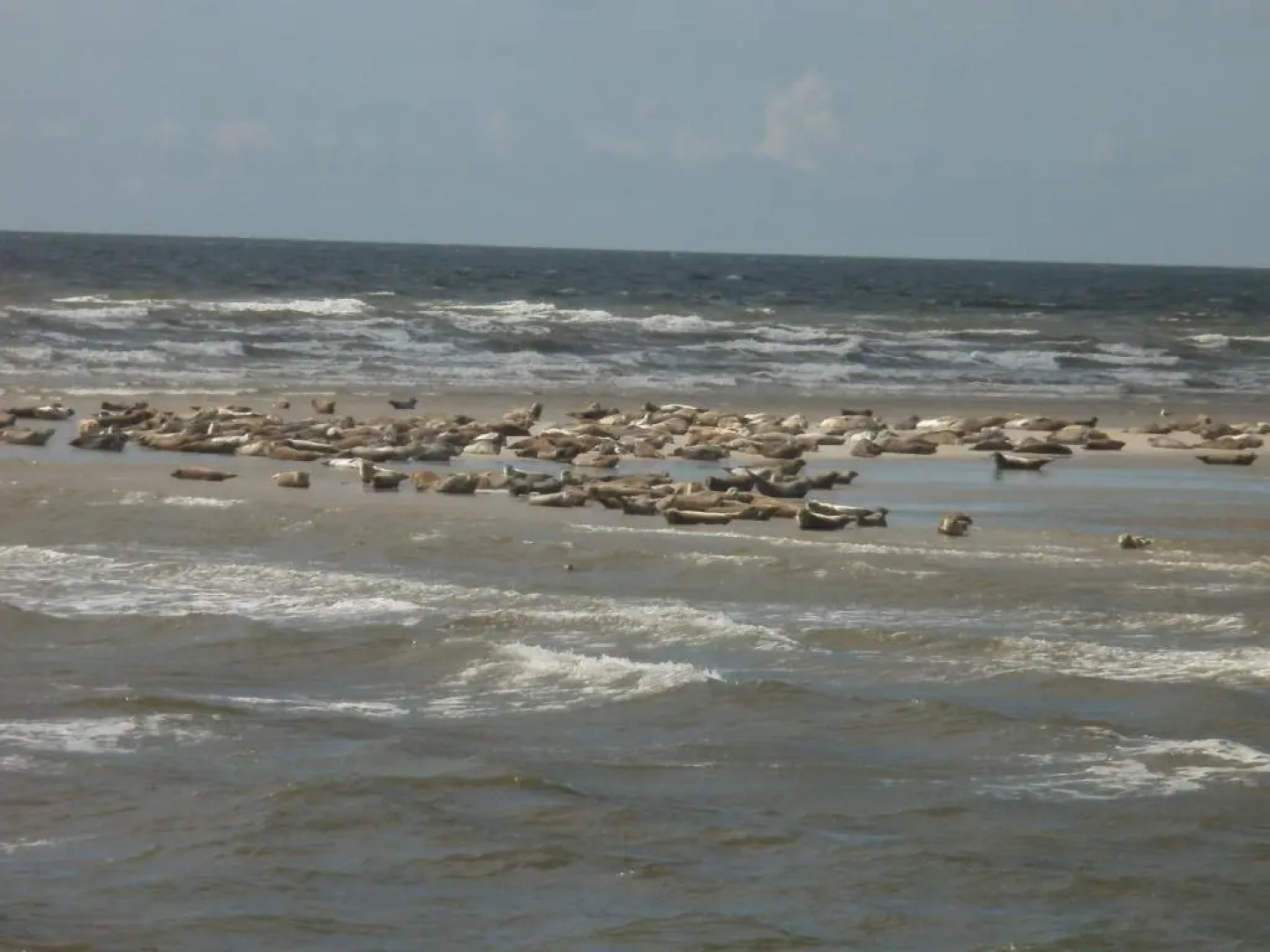 Apartment Radmokerhuus