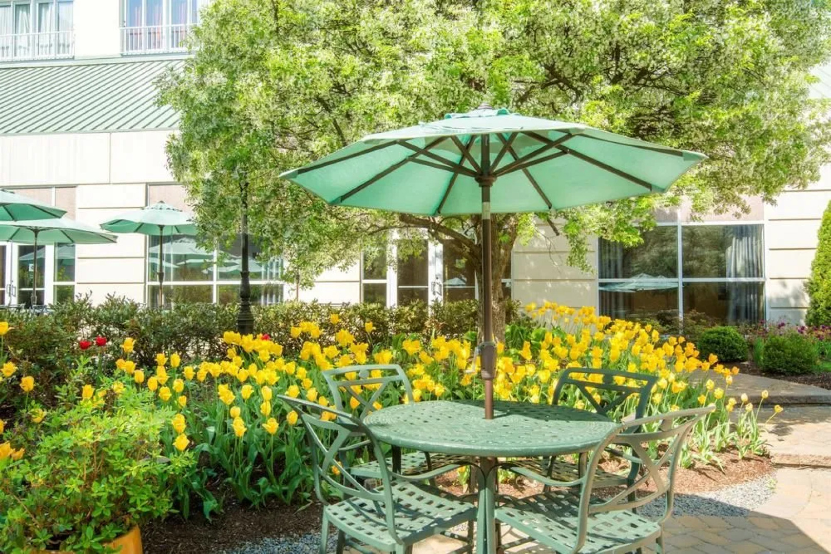 Wyndham Hamilton Park Hotel and Conference Center