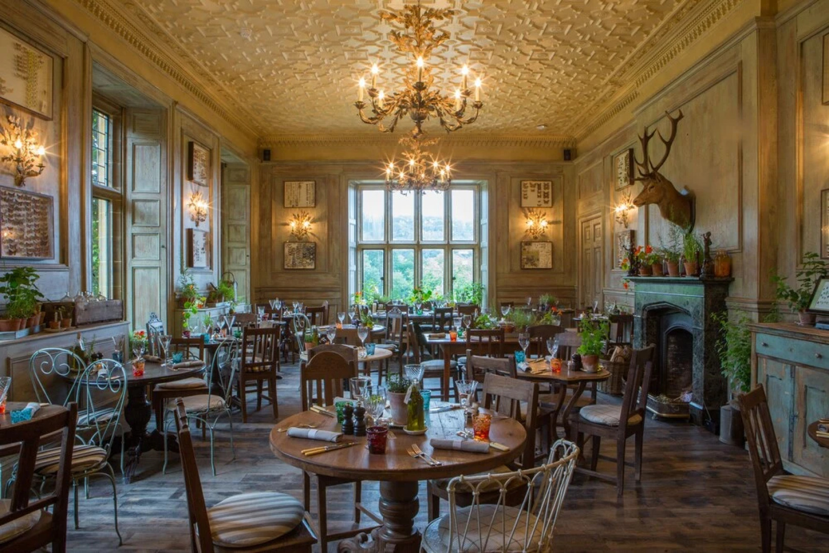 THE PIG at Combe - Devon