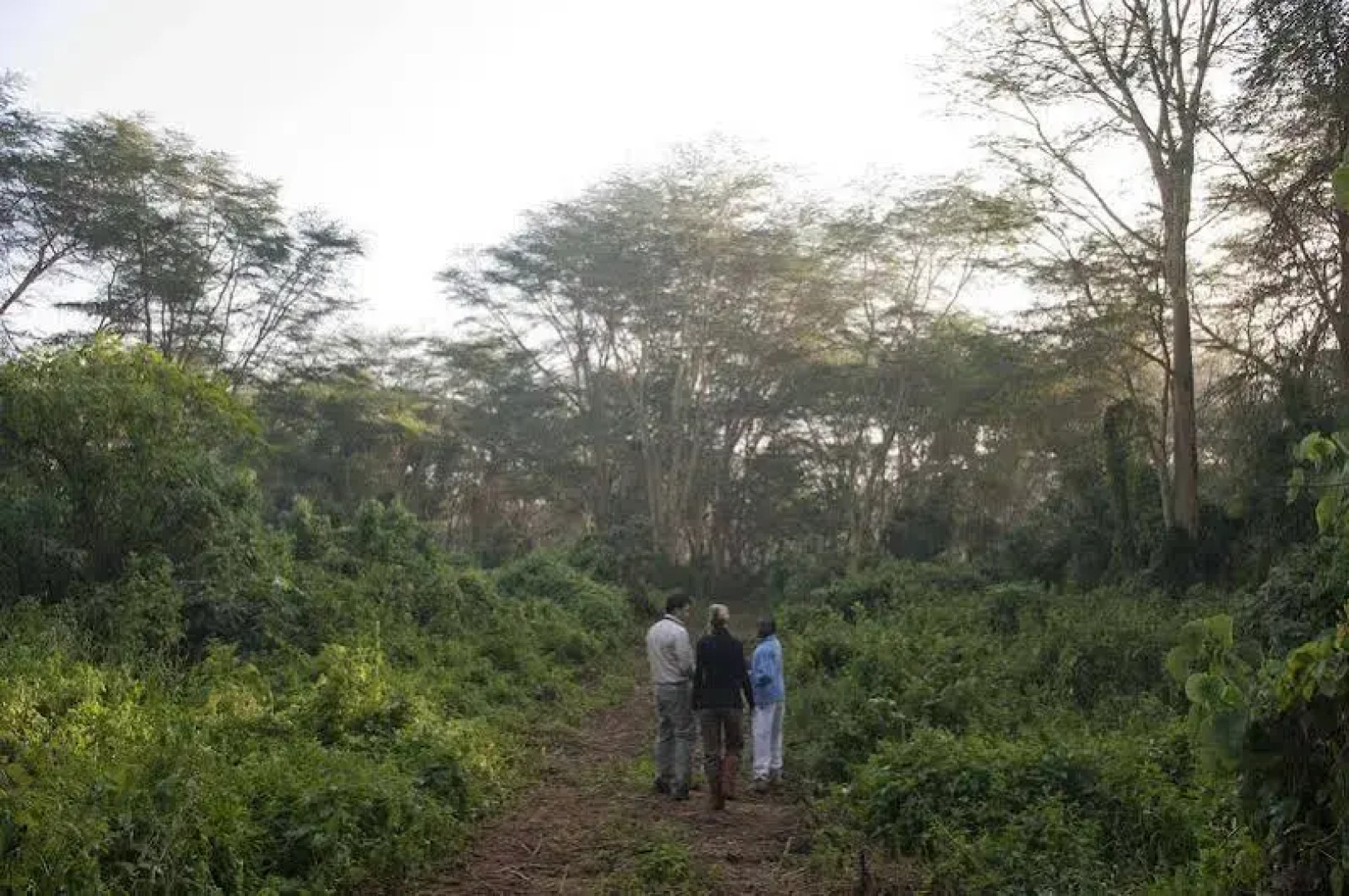 Lake Elmenteita Serena Camp