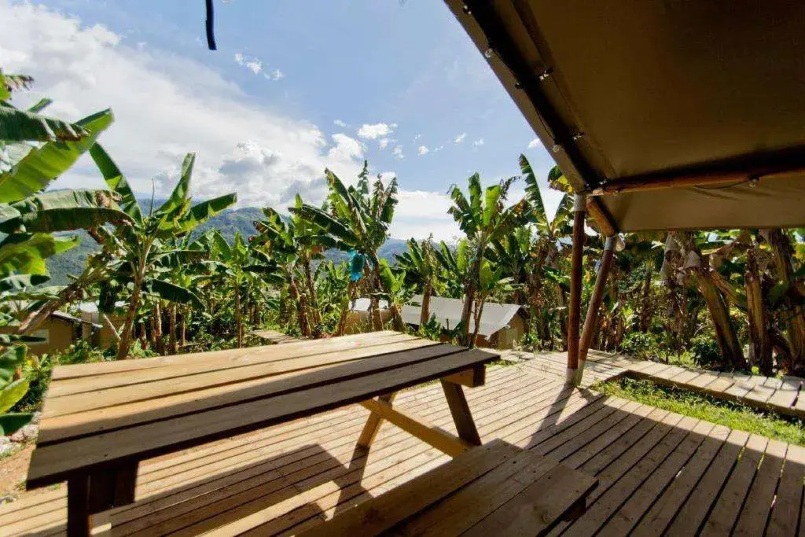 Glamping Jardín