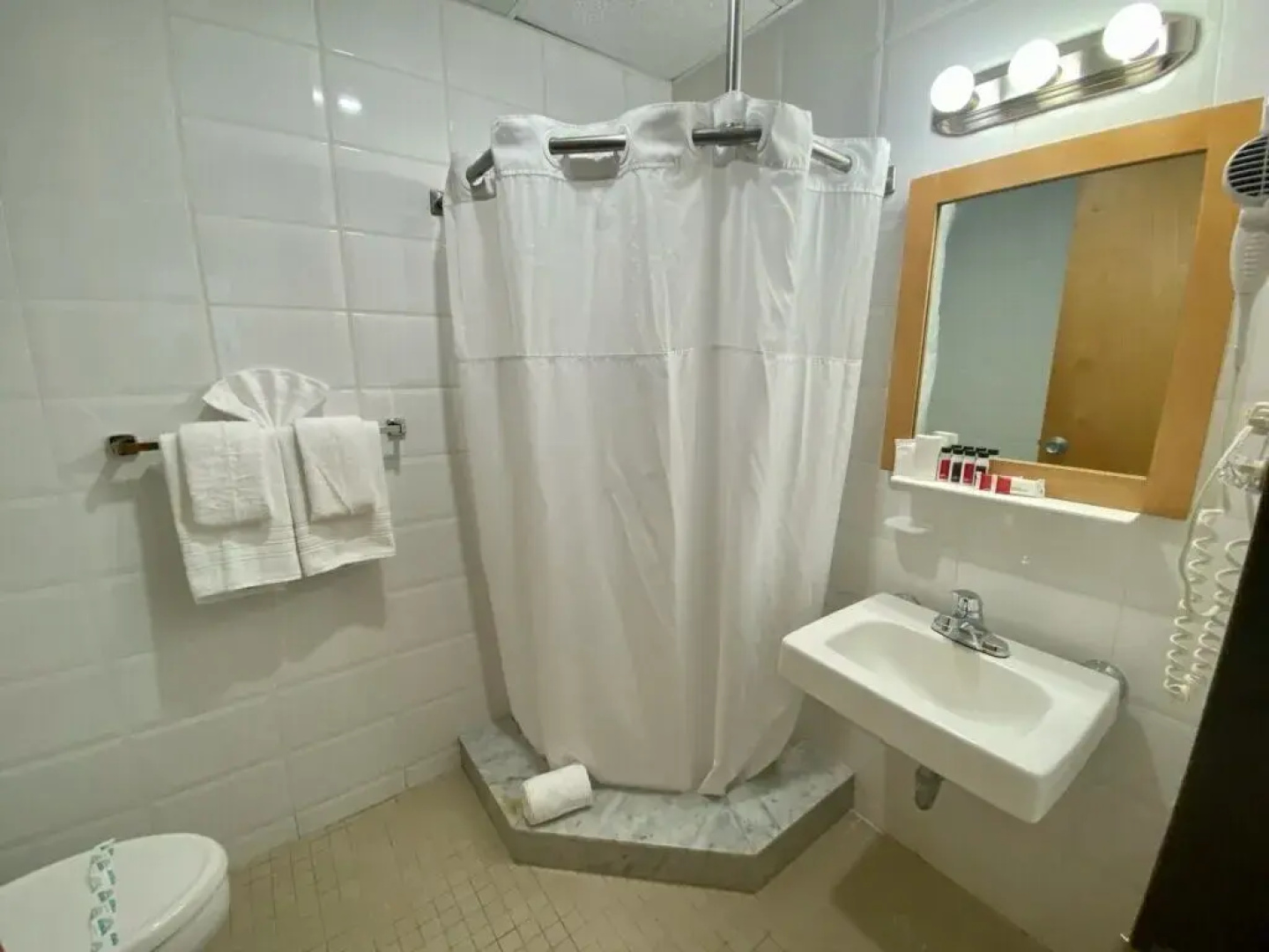 Ficus Hotel