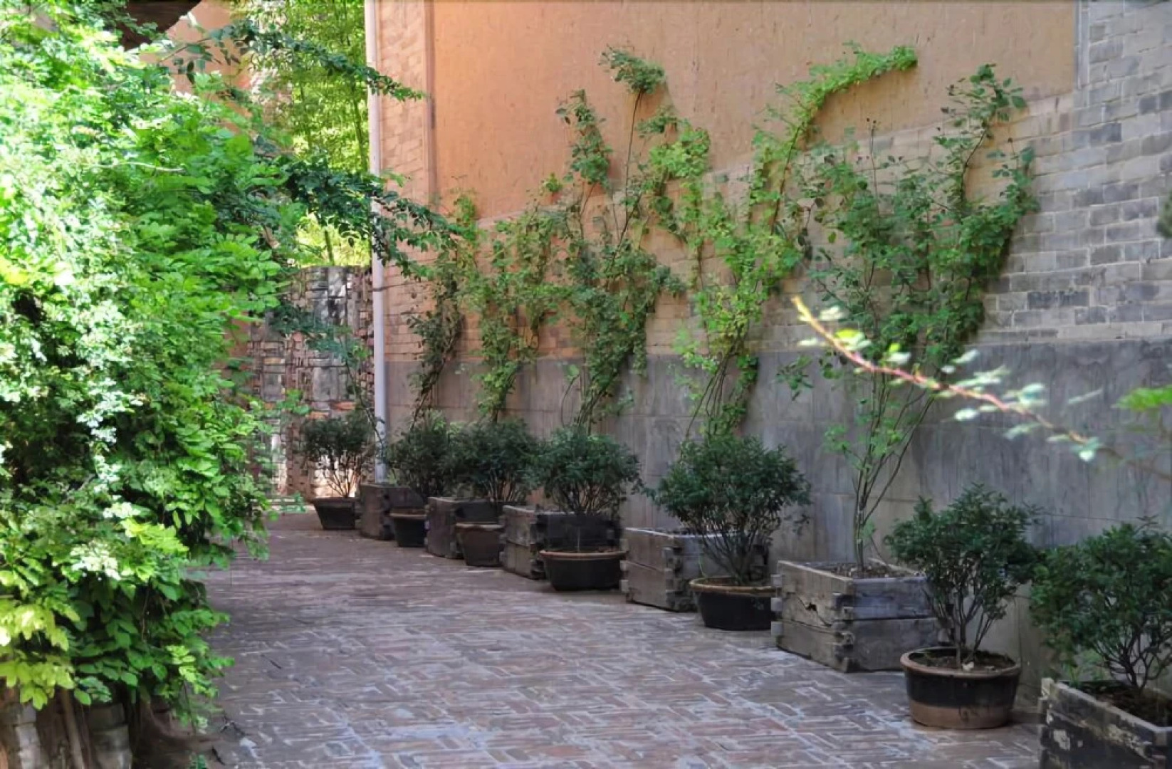 Zuoyouke Theme Hotel