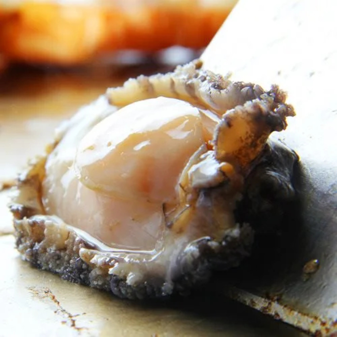 shunkeiroman ginpaso