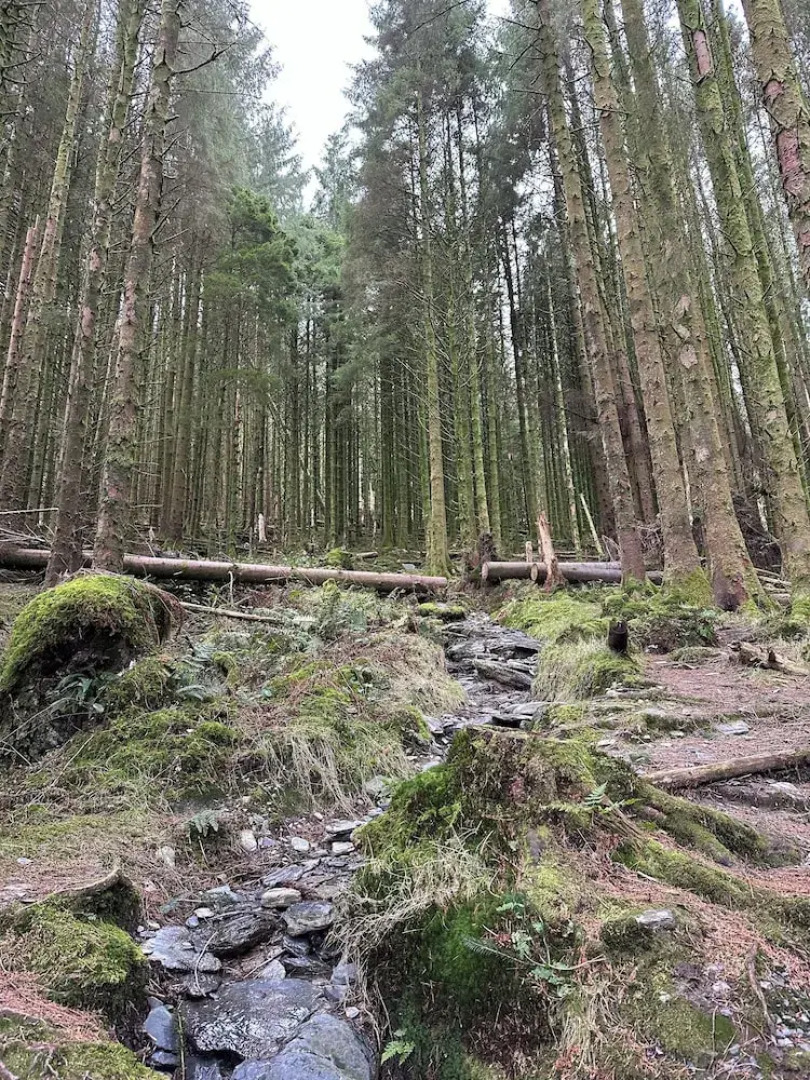 Tyn Y Fron Country House