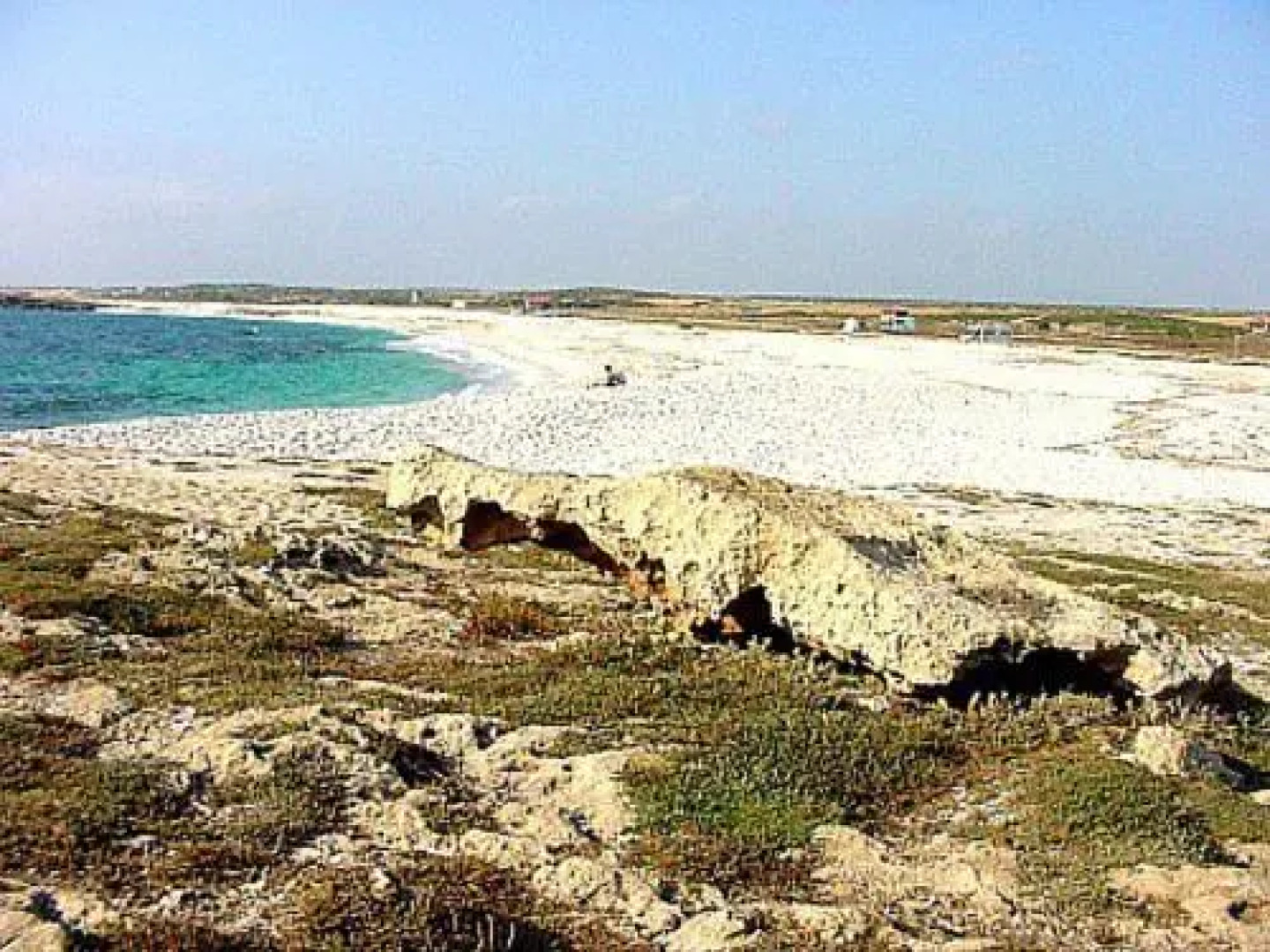 b&b il Fenicottero rosa