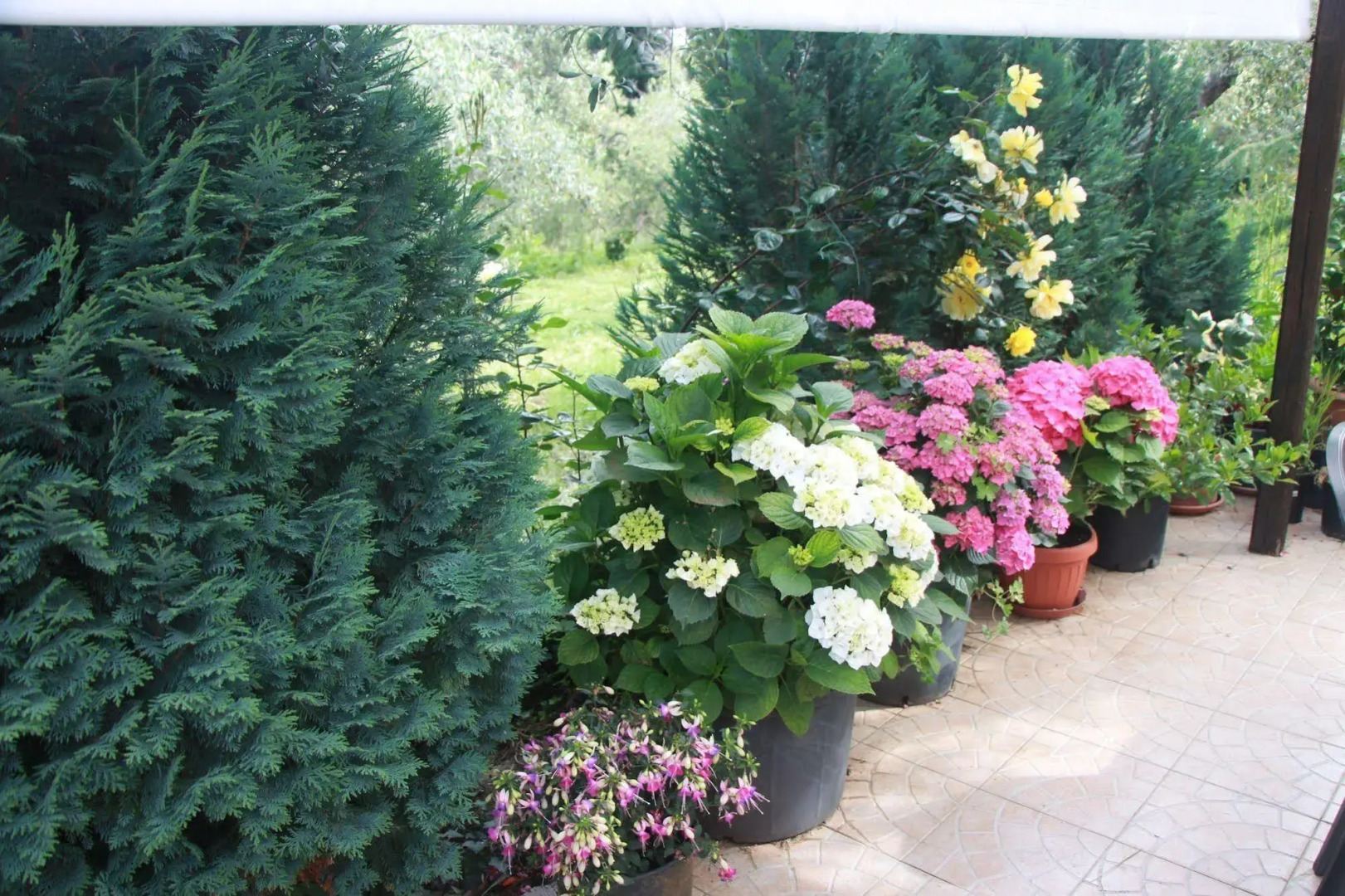 B&B La Terrazza Di Frascati