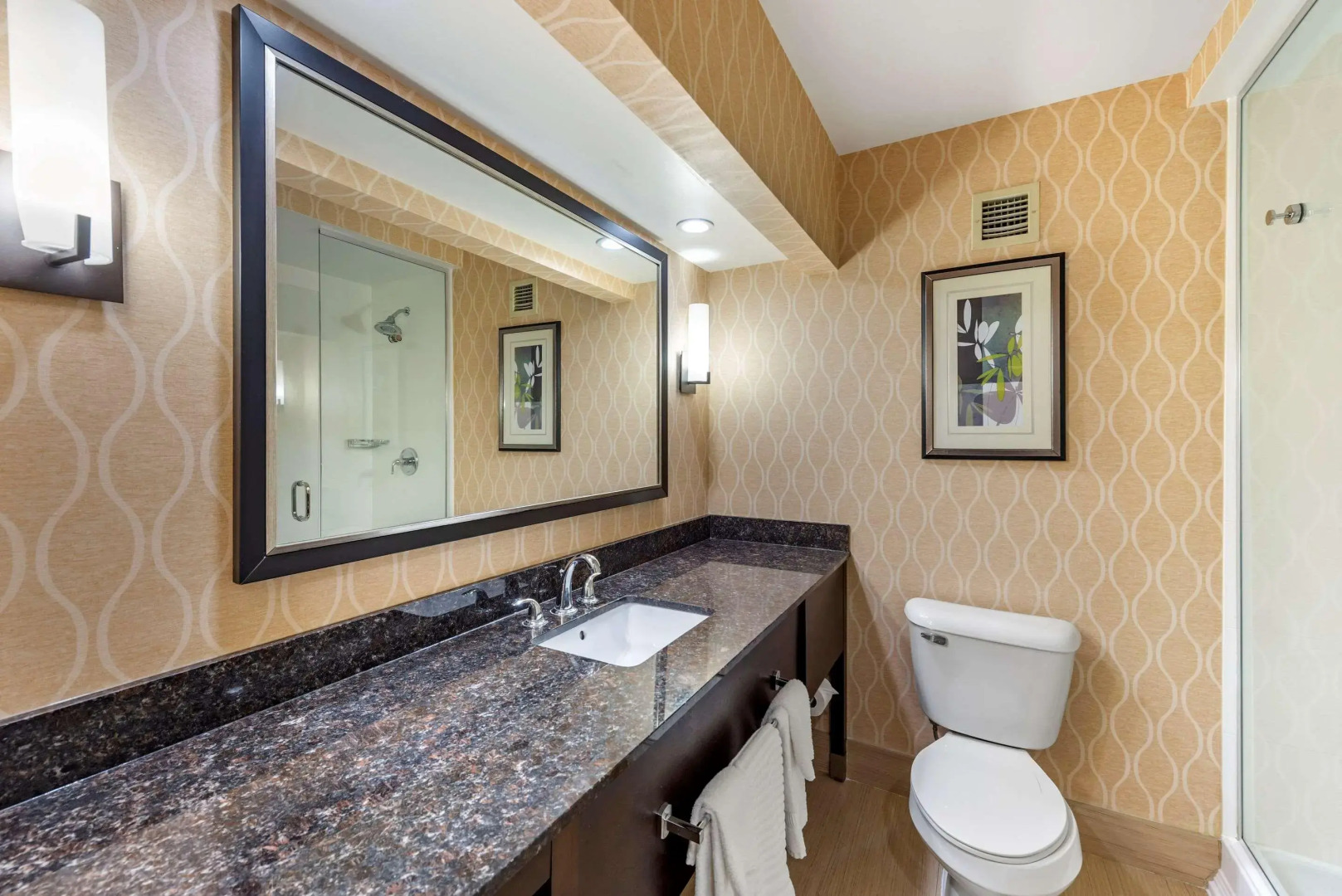 Comfort Suites Chesapeake - Norfolk