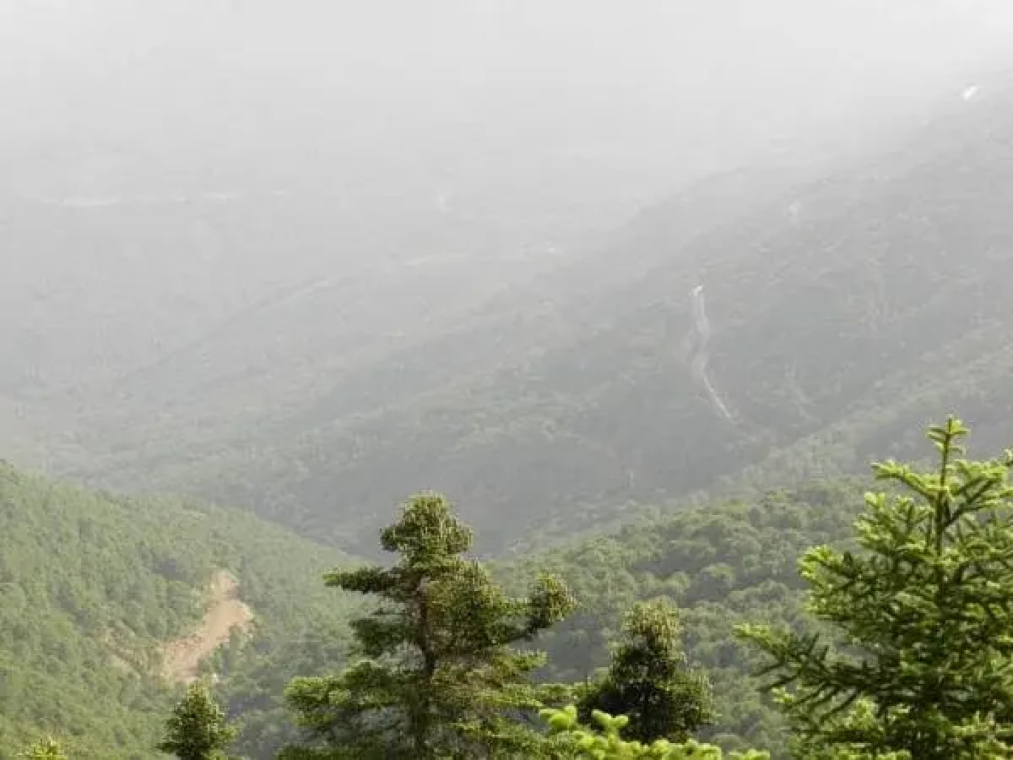 Casas Rurales Jardines Del Visir