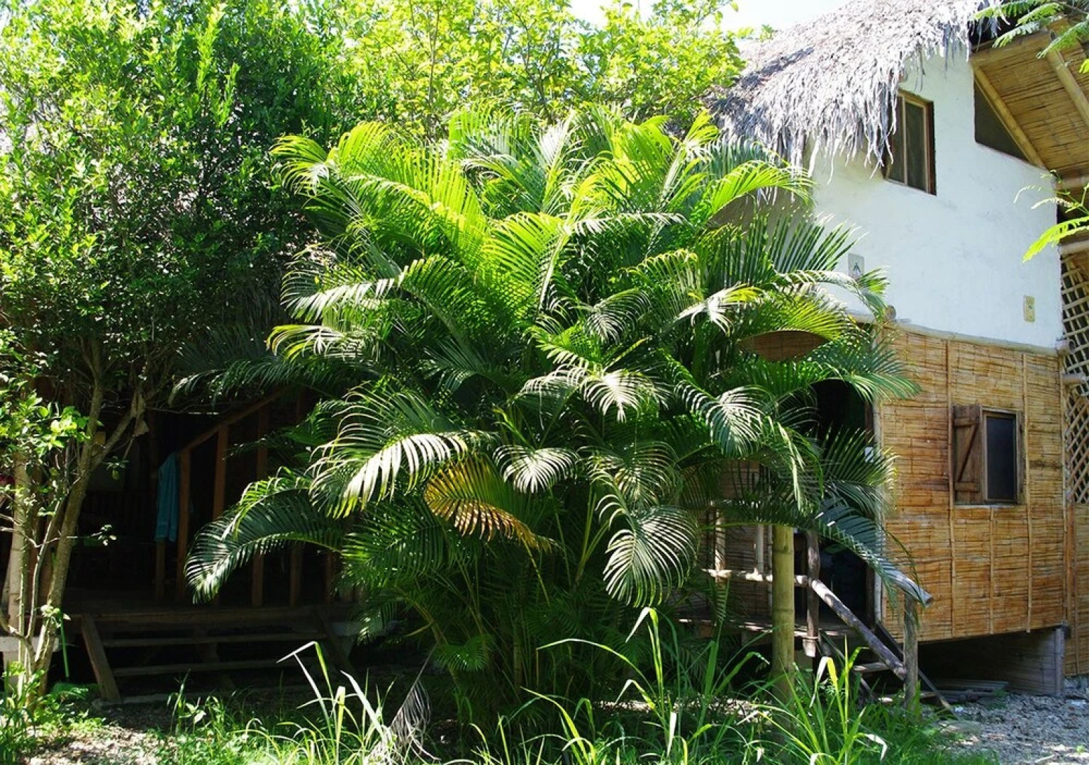 El Refugio de las Aves