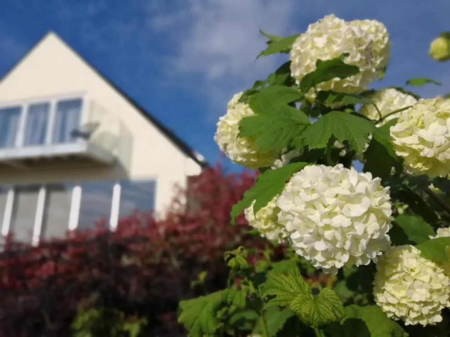 Meadow Cottage Bed & Breakfast