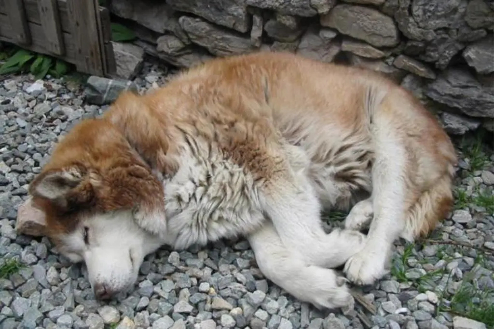 Chez Jean Pierre - Room 3pers in a 17th century house - n 7
