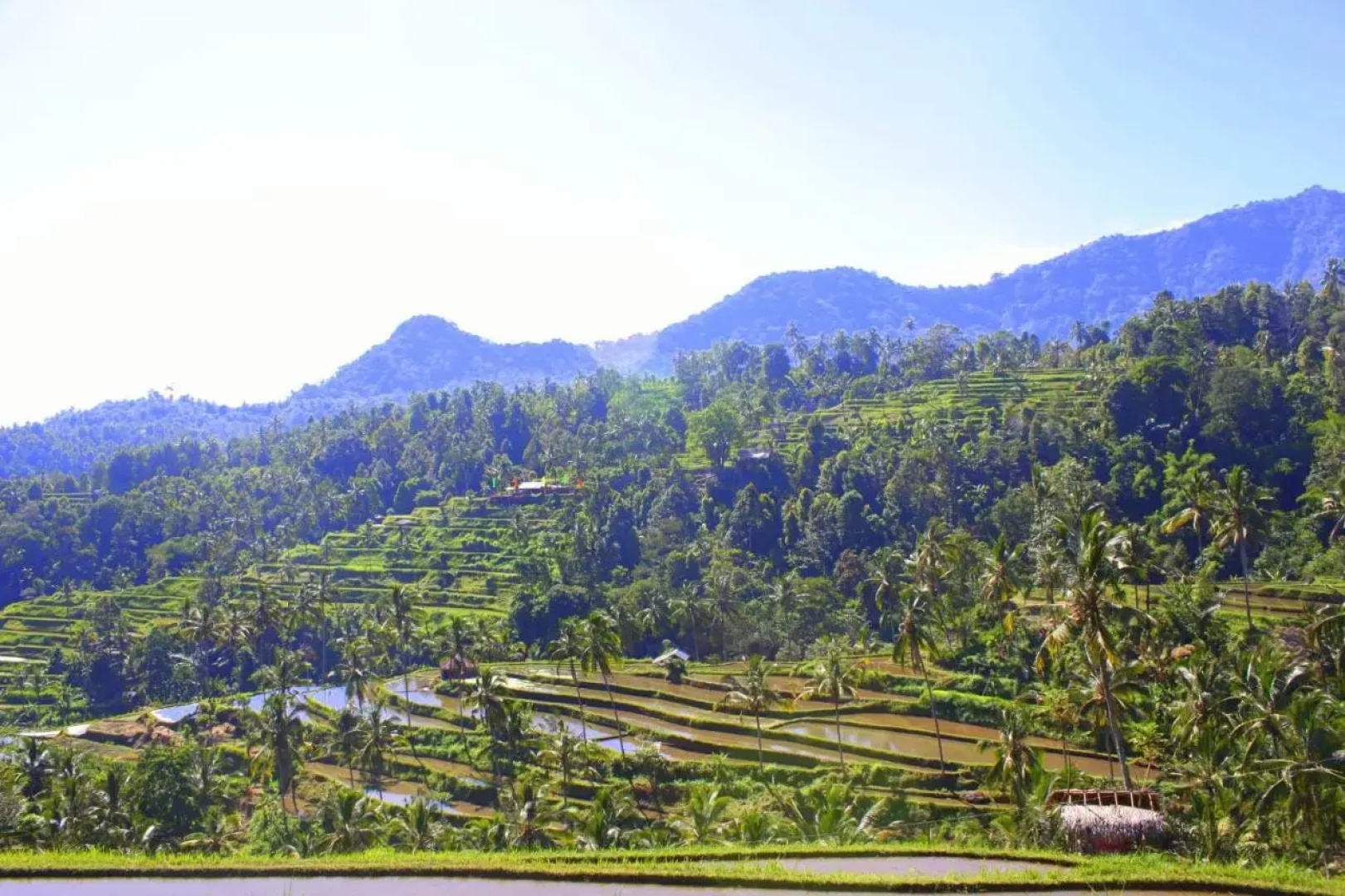 Ananda Homestay