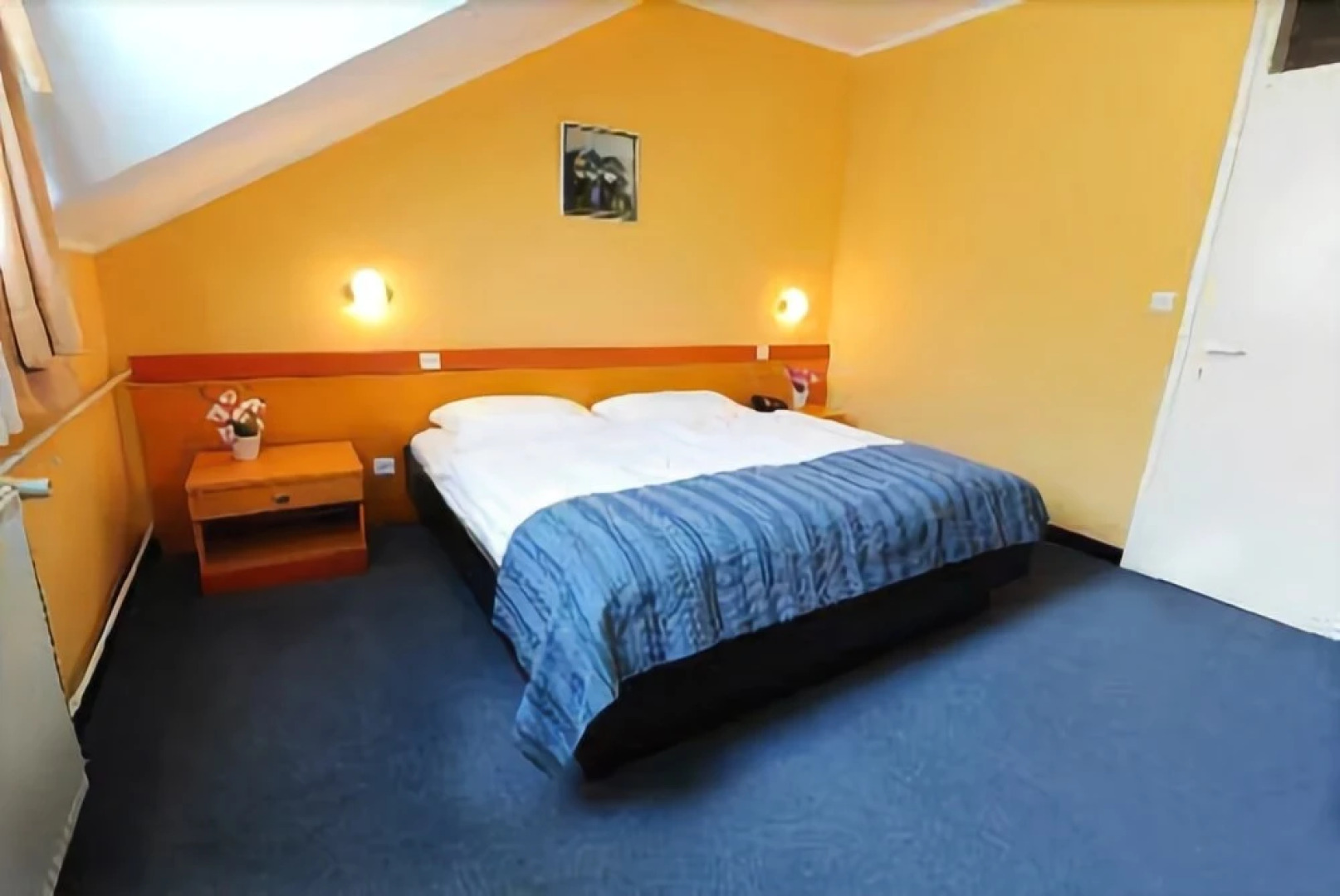 Hotel Bor & Grad Hrib