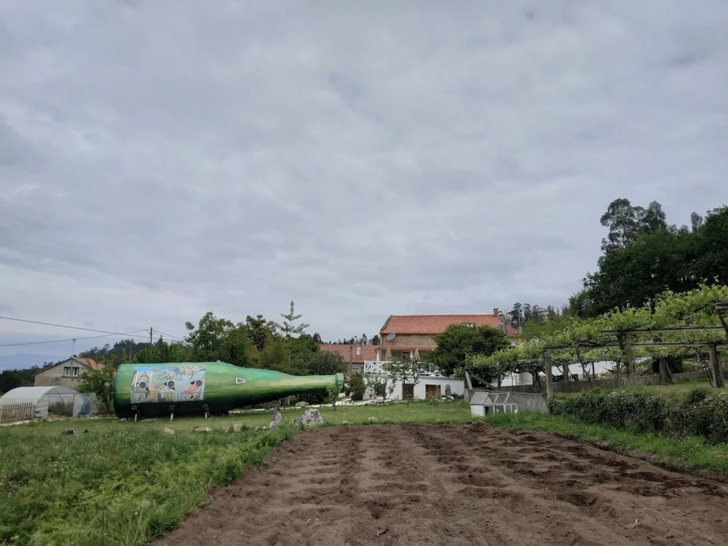 Madeinfofan- Adults Only