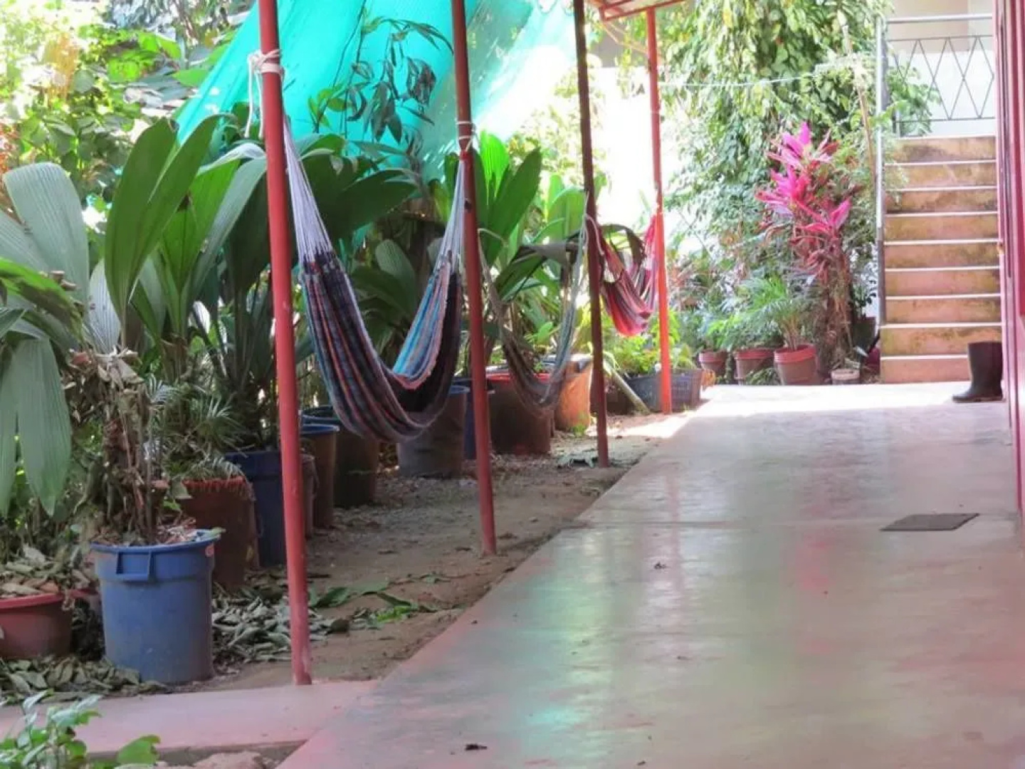 Bambú - Hostel