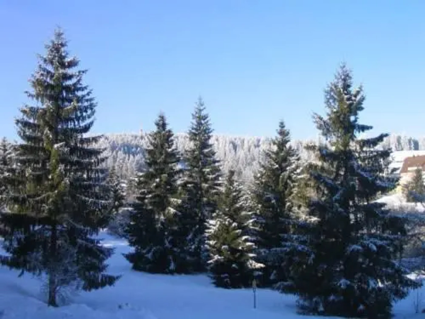 Schwarzwaldhäuser Appartment 63