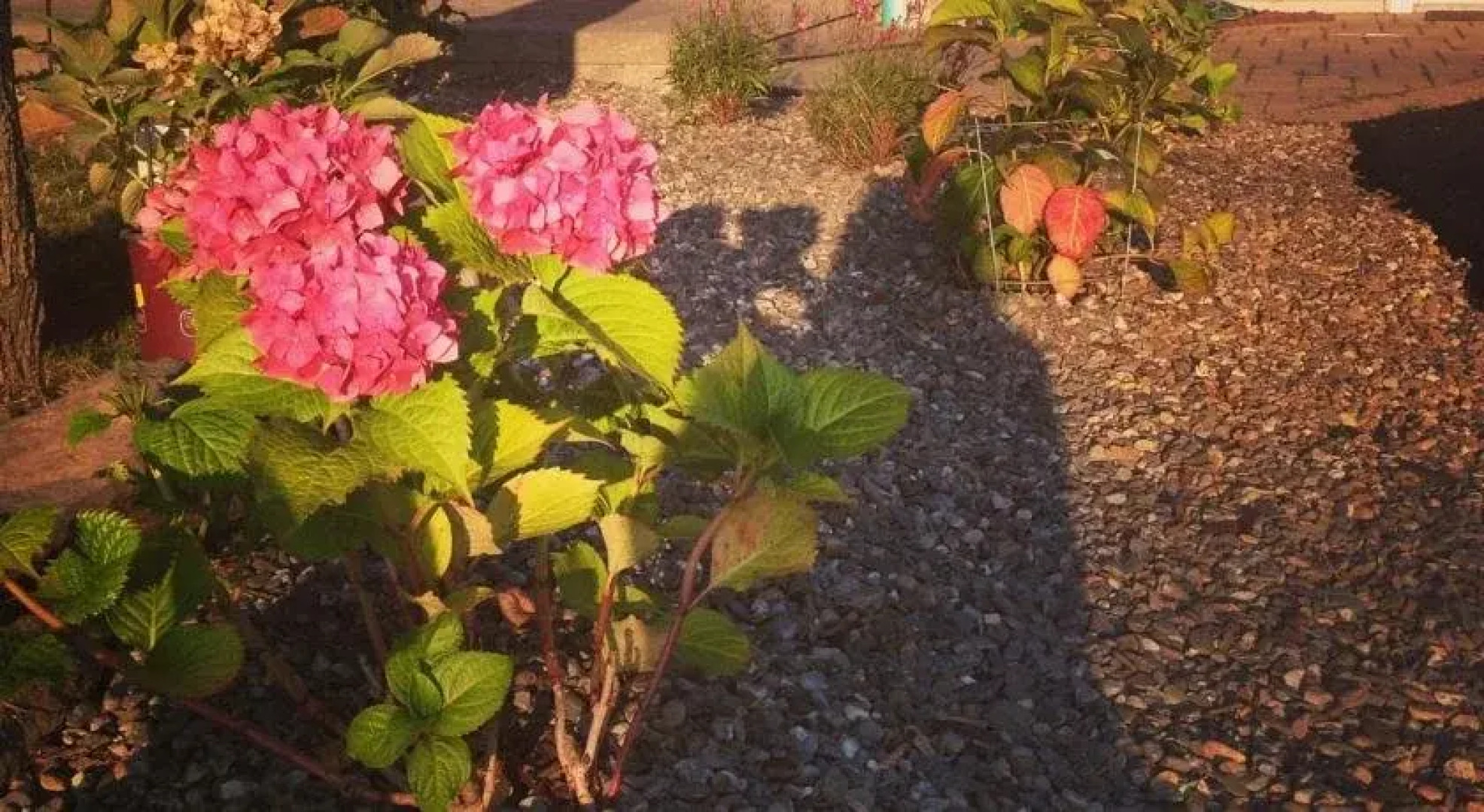 Sams Cottage on the Greens