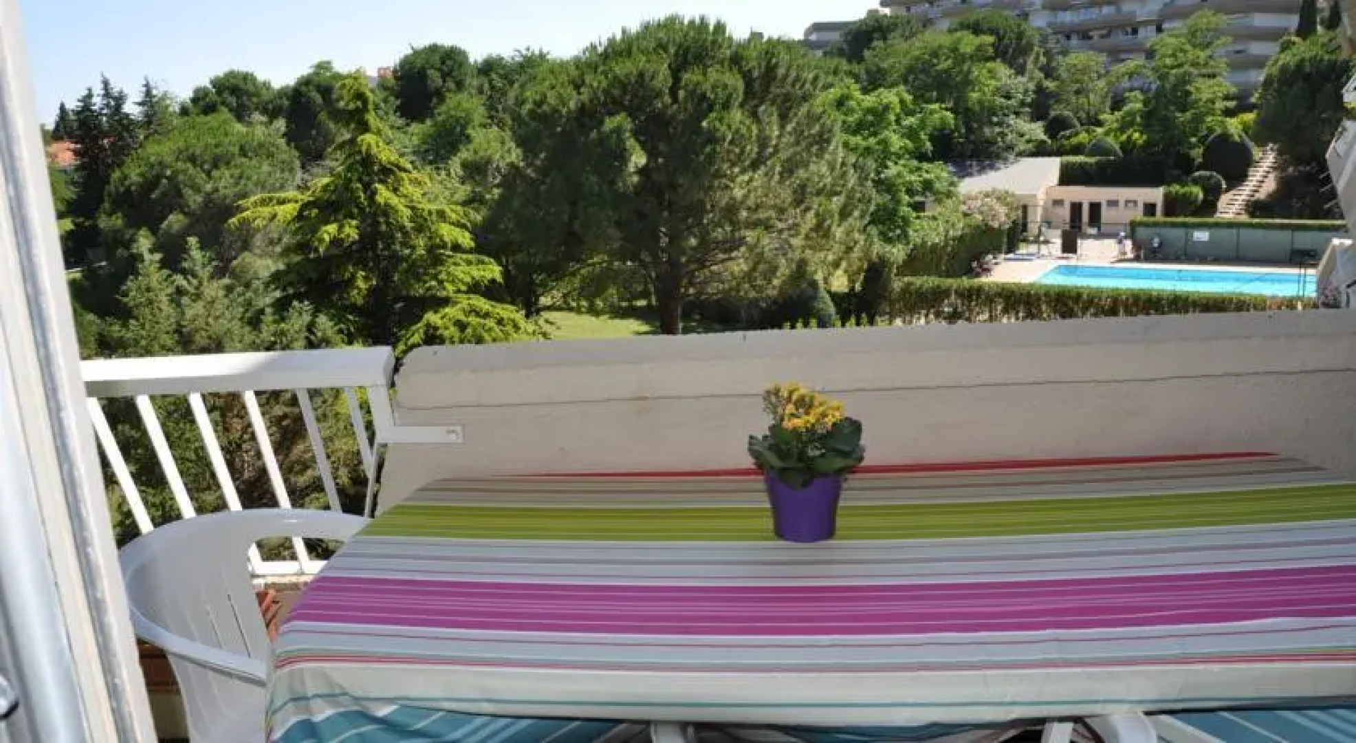 Lavandin Montpellier