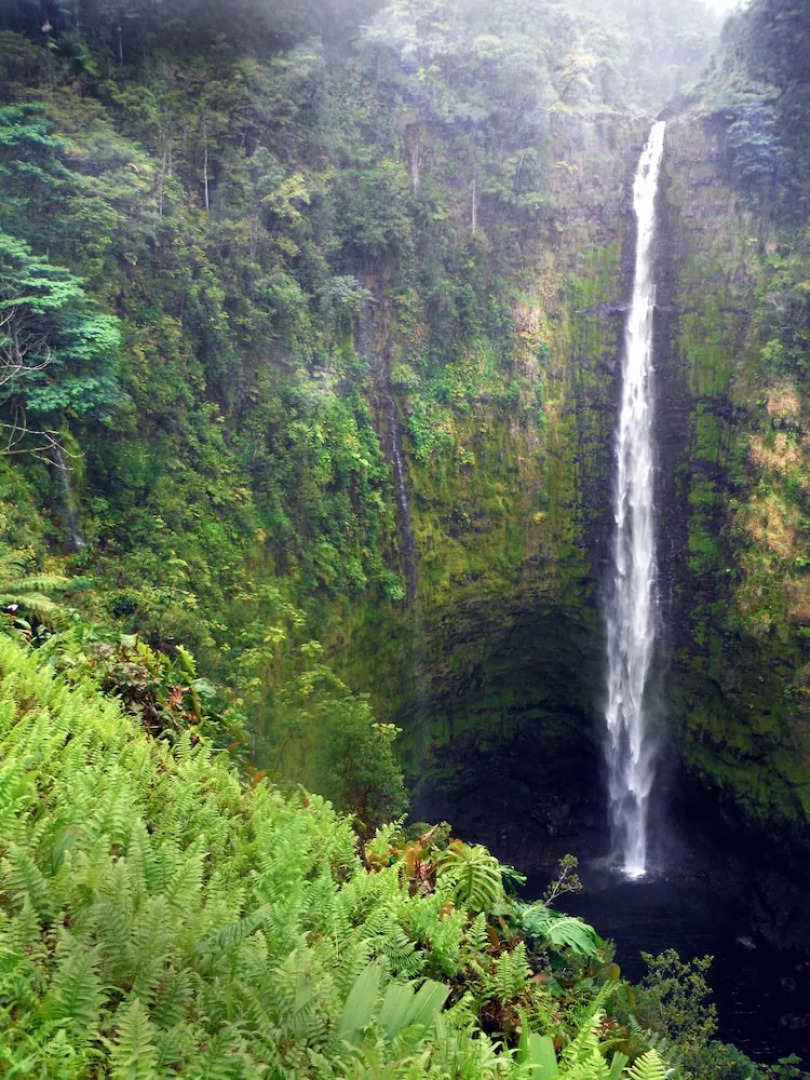 Hale Ola Aina 2 Bedroom Home by RedAwning