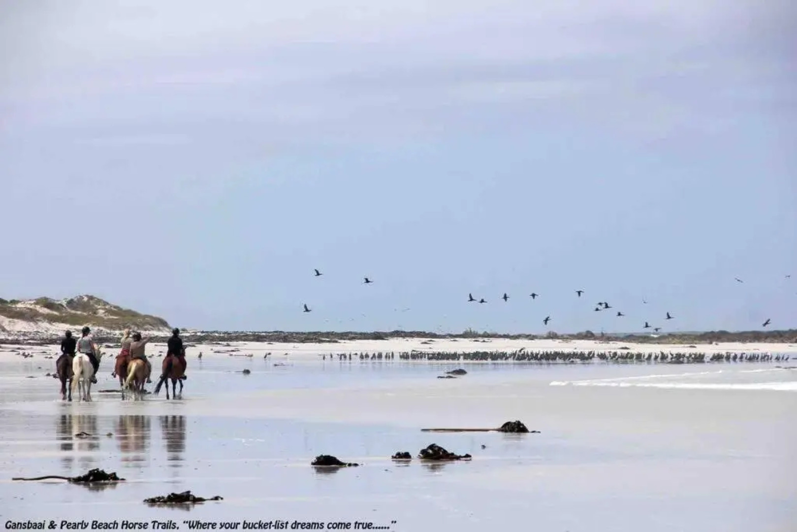 Casa Balena - Gansbaai seafront accommodation, back-up power