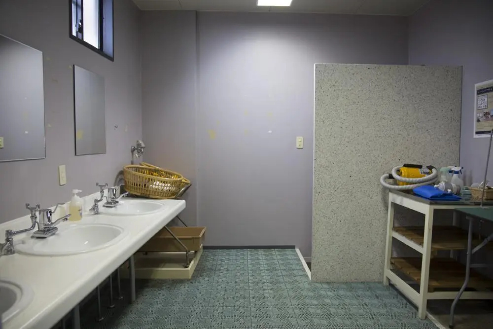 Pet to Tomaru Umibe No Hotel Caro Foresta Tateyama Diana