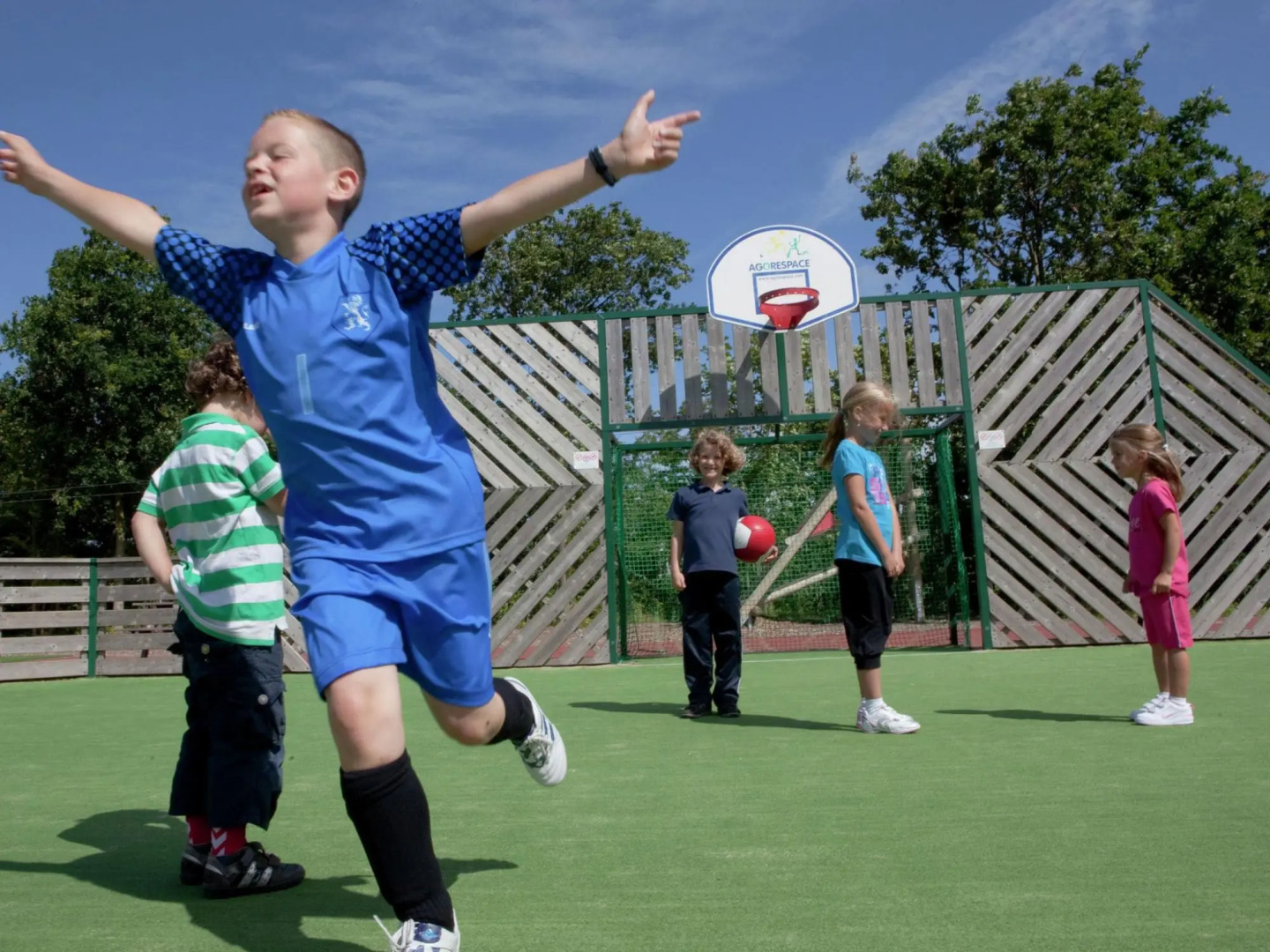 Luxury chalet with infrared sauna, on a holiday park, 2.5 km. from the beach