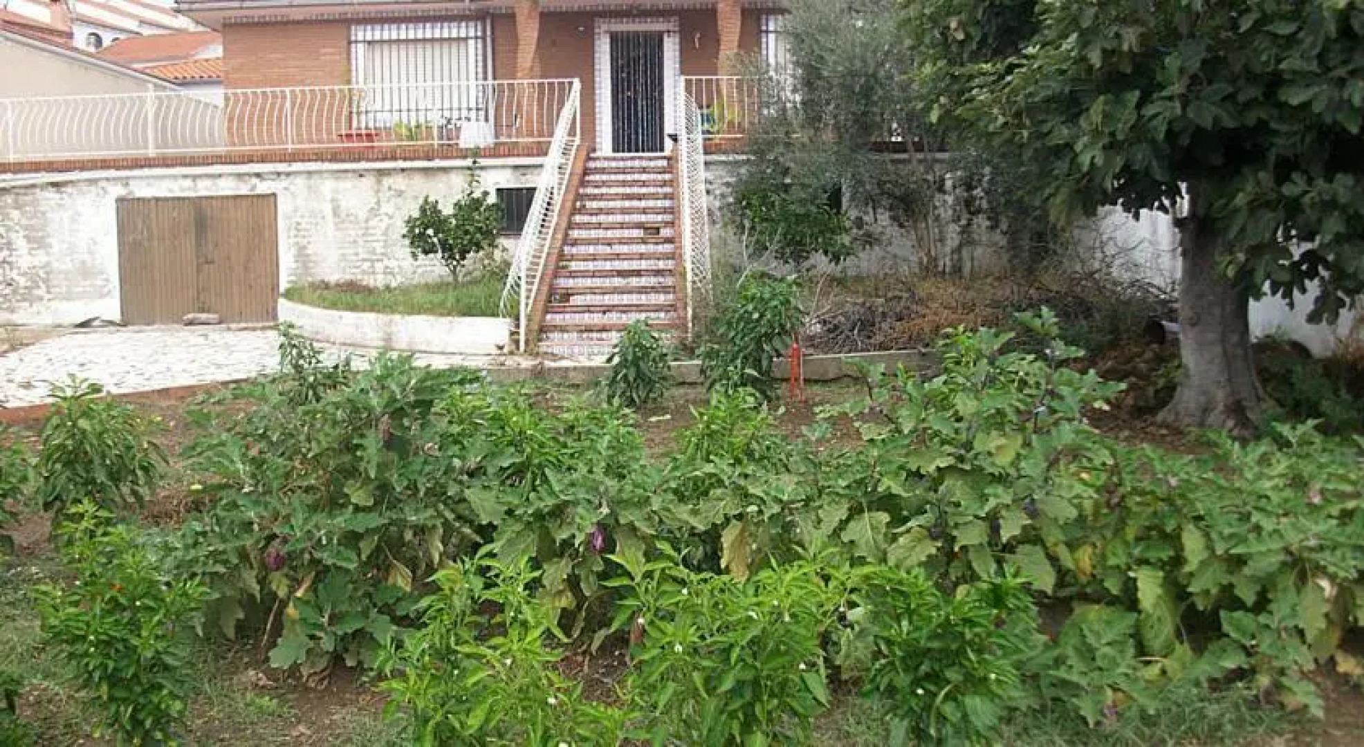 Alojamiento Turístico La Chinatina