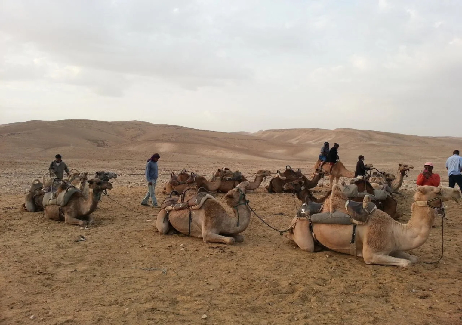 Aloni - Guest house Dead Sea