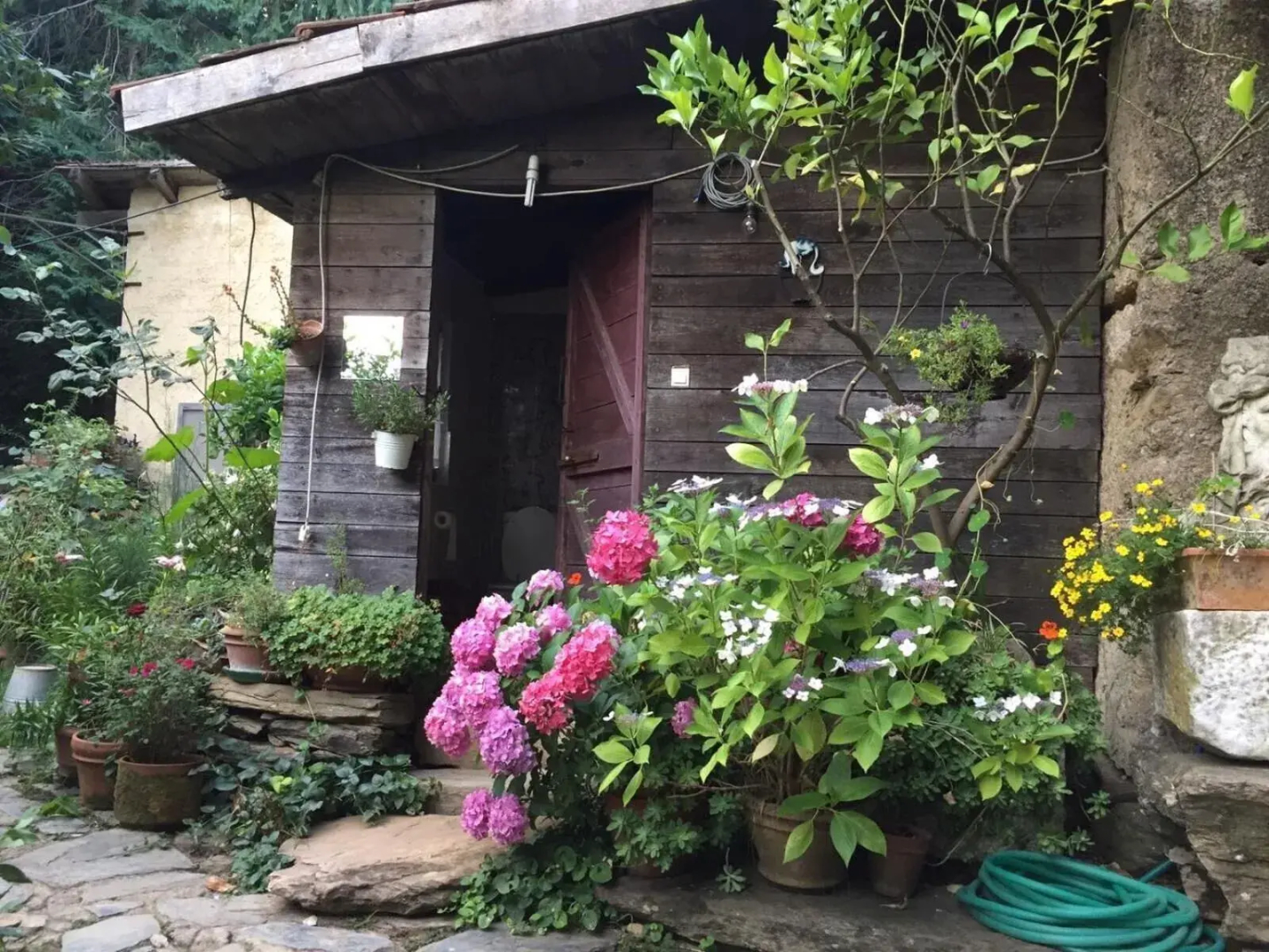 Centro Trekking A Cavallo Monte Brugiana