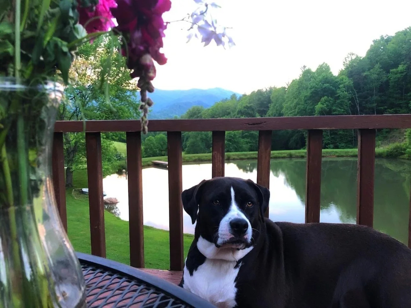 Pond Cove Cabin - 2 Br Cabin