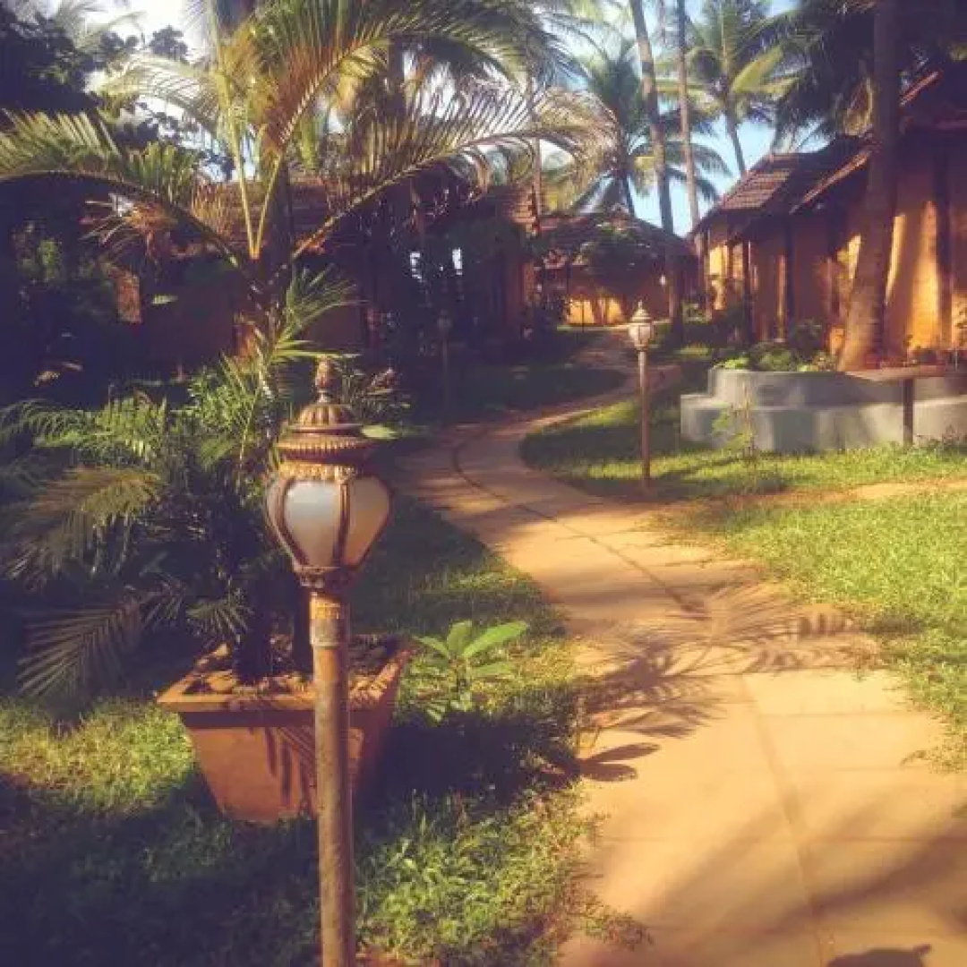 The Village
