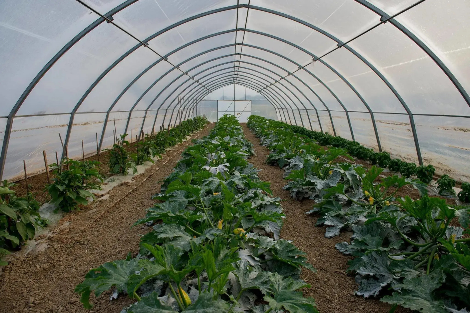 Agriturismo Arte Contadina