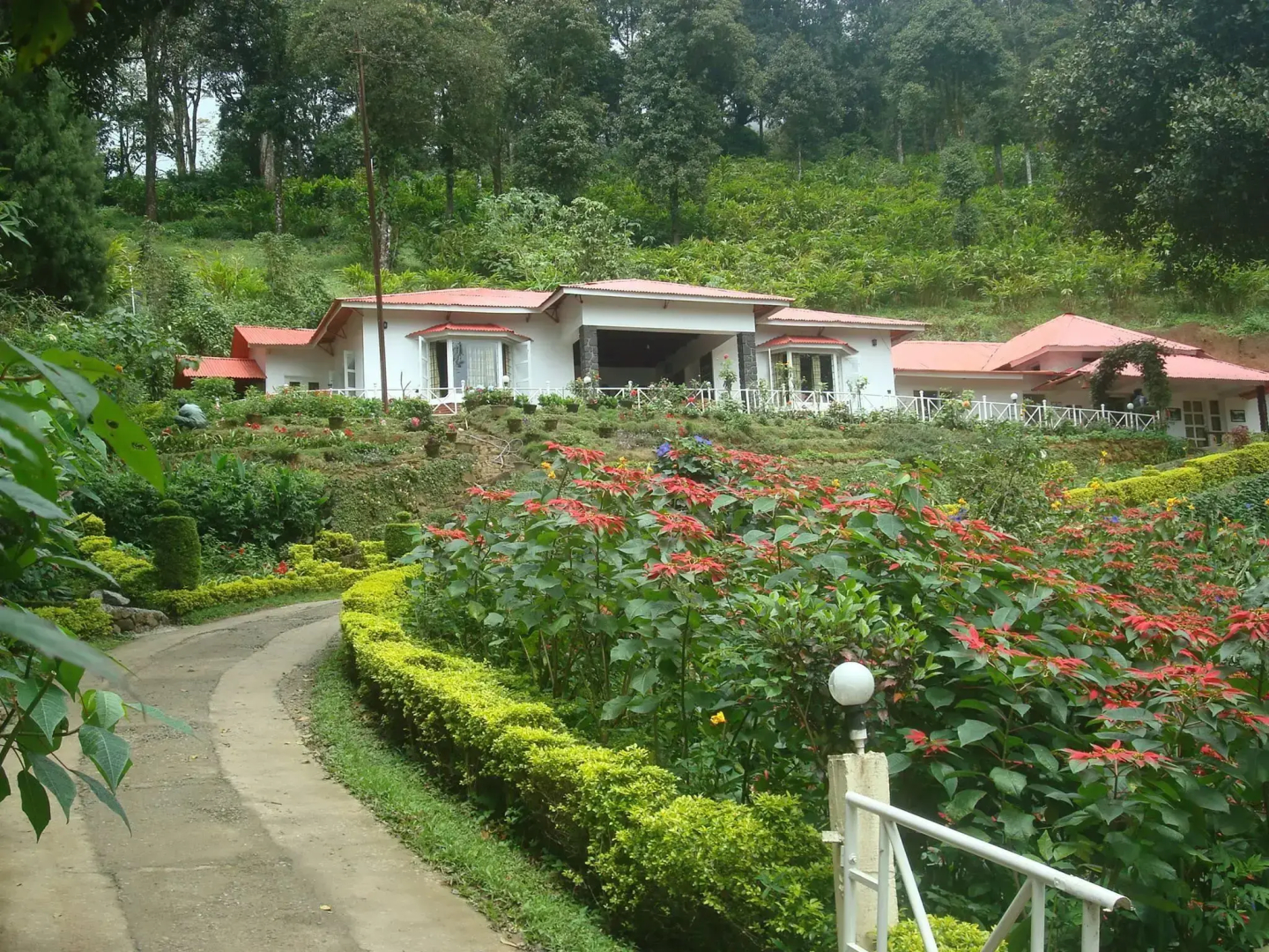 OliveBrook