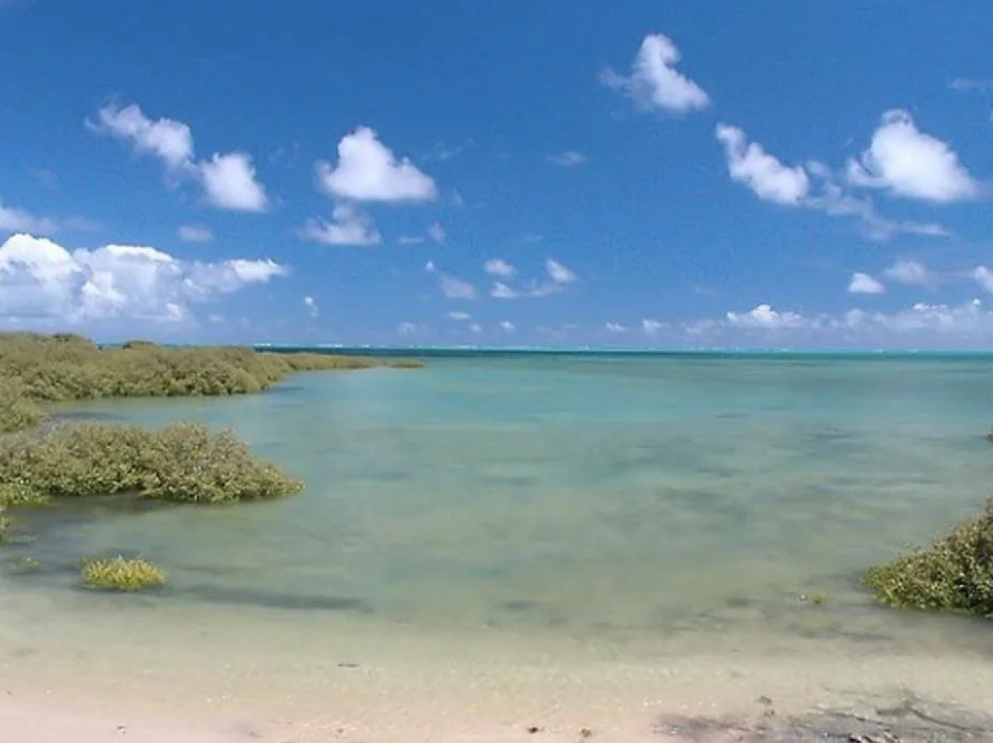 Golden Chain Sea Breeze Resort