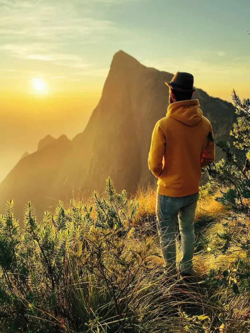 Tentgram Plantation Hostel Suryanelli