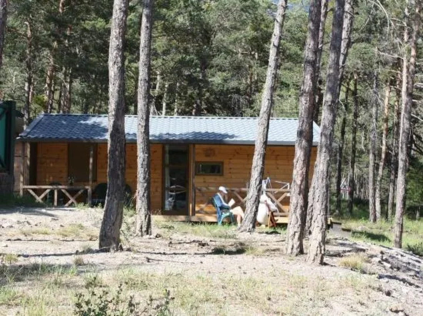 Le Loup Blanc du Riou