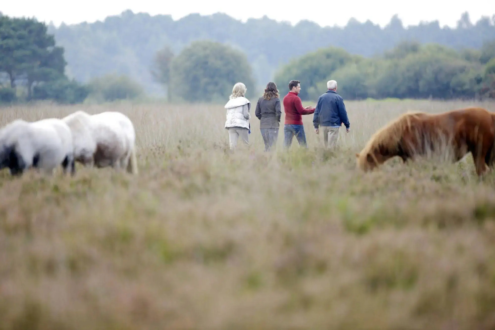 Center Parcs Limburgse Peel