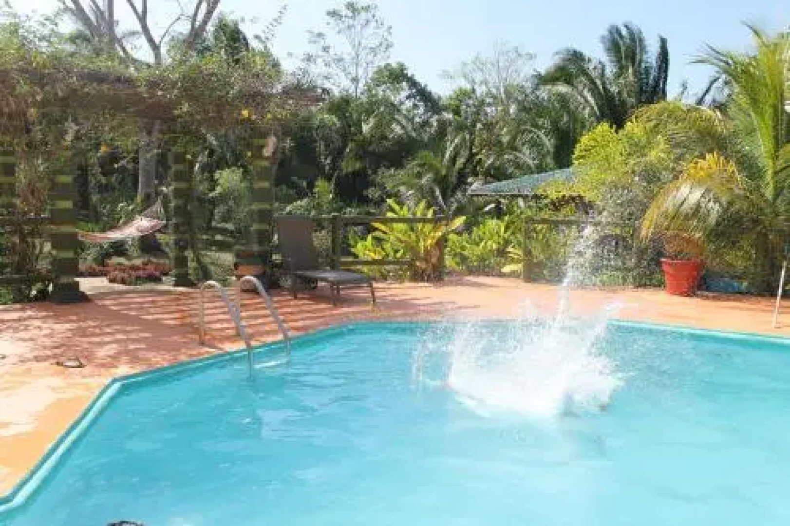 Inn the Bush Eco-Jungle Lodge
