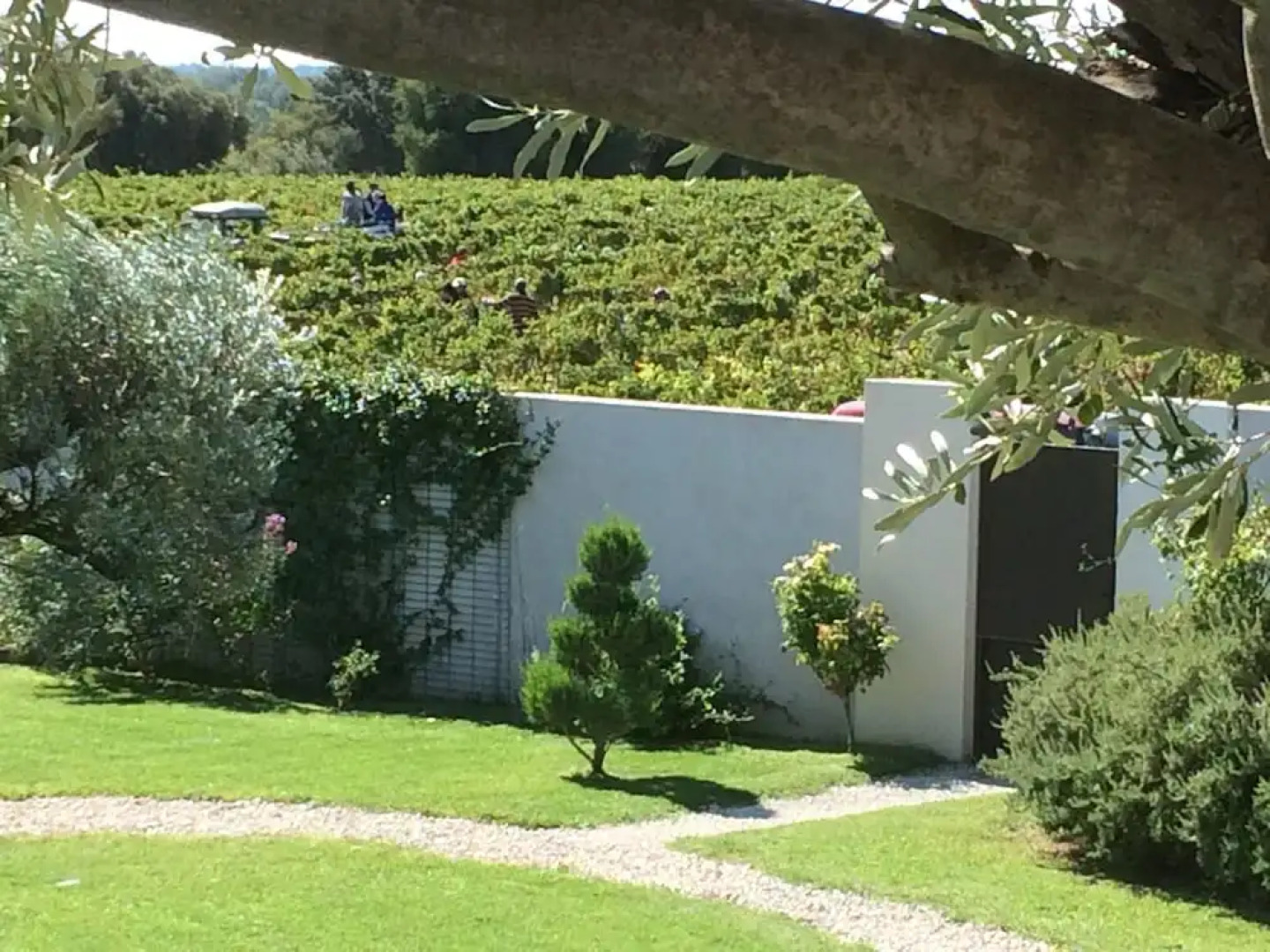 Maison D'hôtes Les Vignes