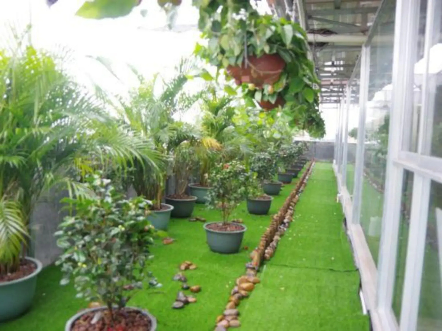 Young Trees Fashion Hotel