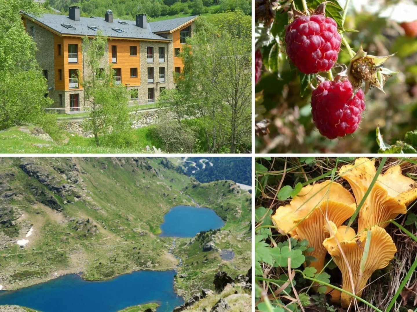 Aparthotel Rialb Andorra