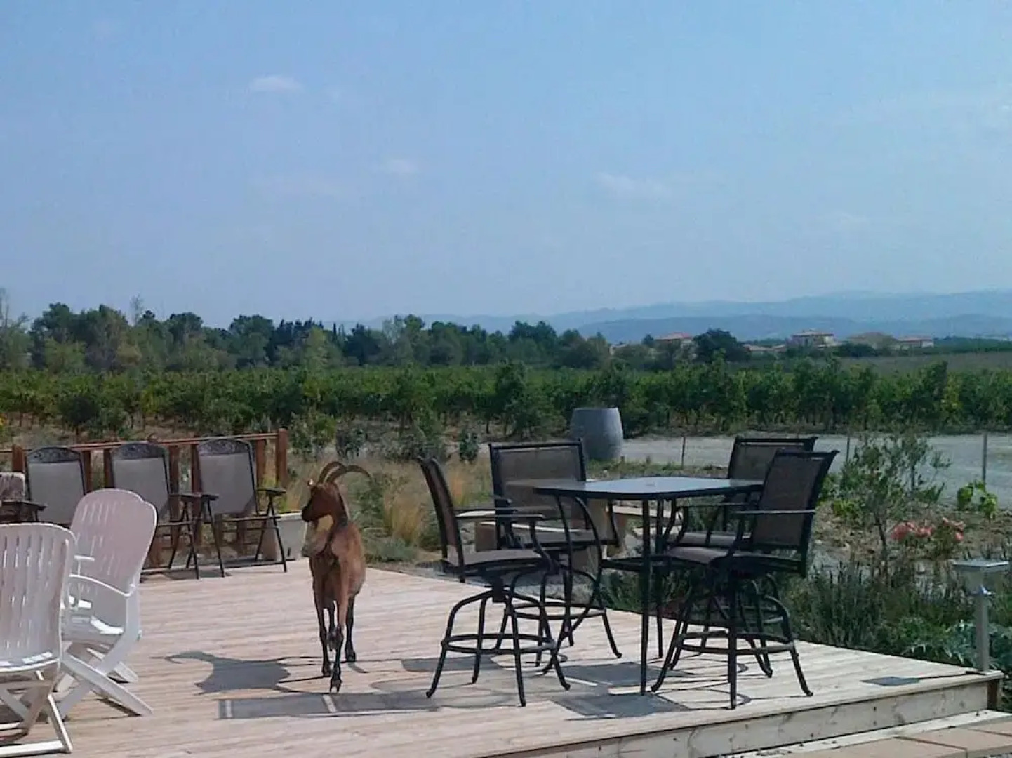 O'Vineyards Winery and B&B