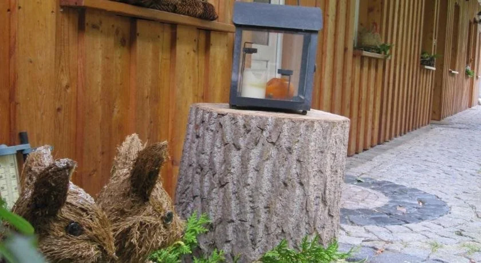 Kur- & Urlaubspension Hohes Rott