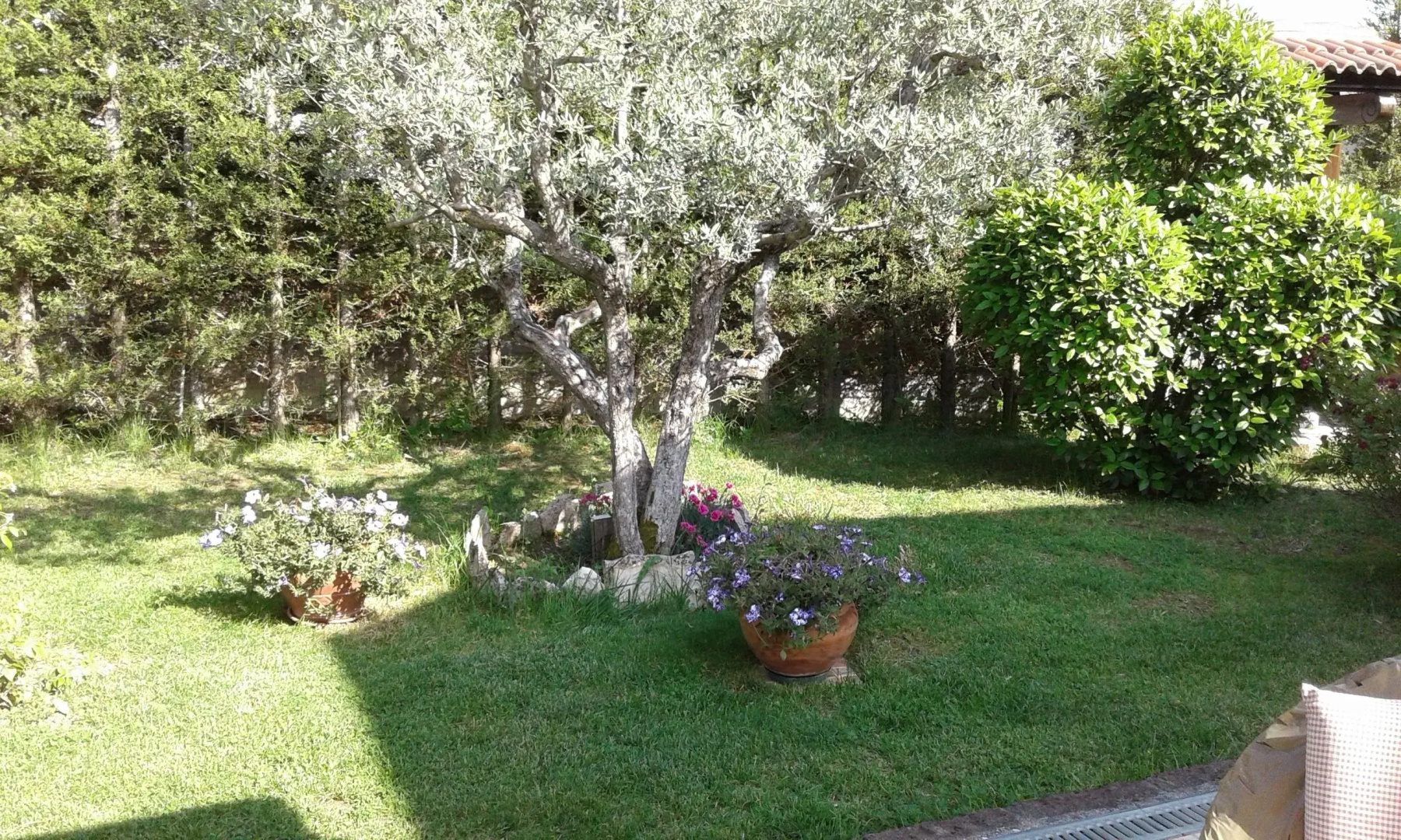 B&B Villa Milena