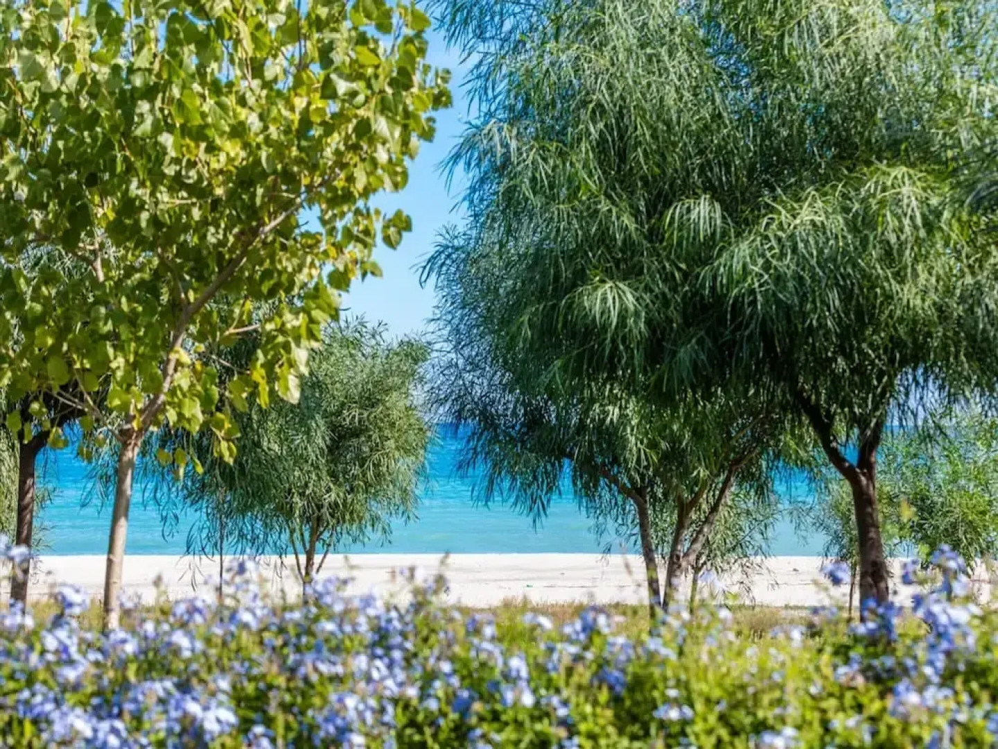 Romantic Beachfront Getaway