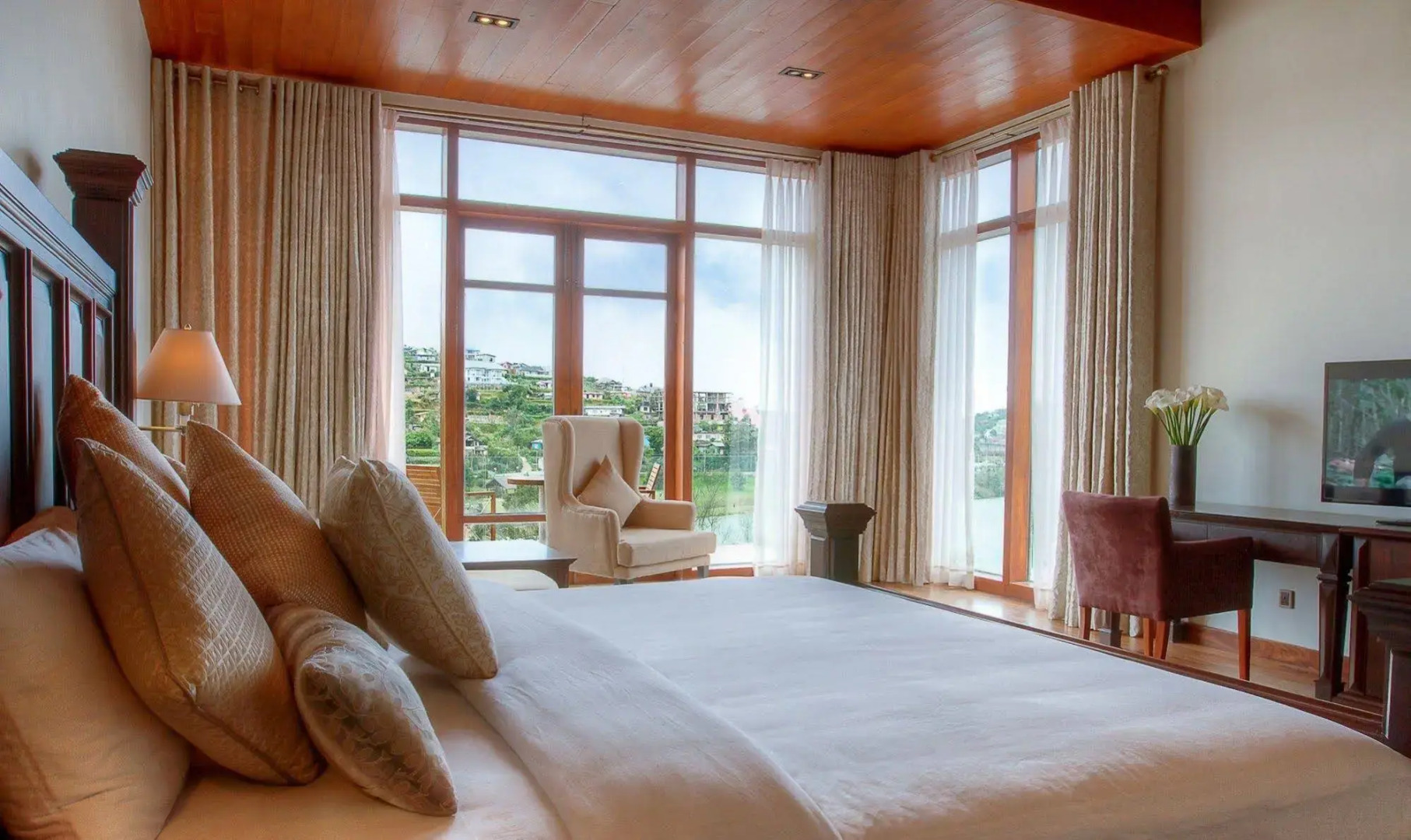 Tea Plant Nuwara Eliya