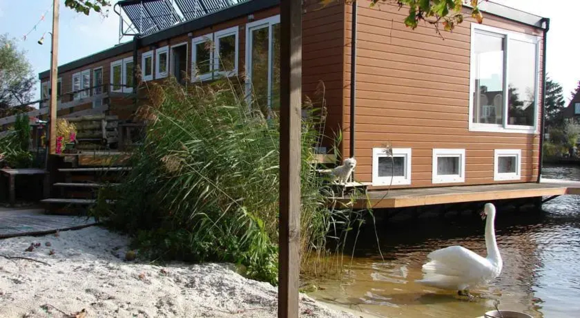 B&B Houseboat between Amsterdam Windmills