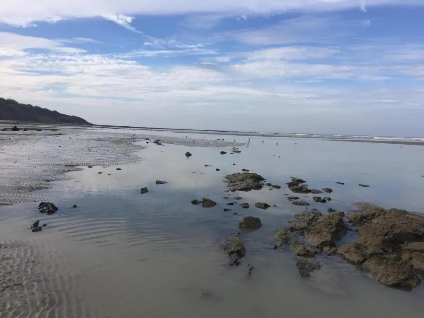Appartement terrasse face mer